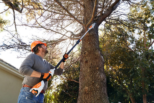 STIHL® – HTA 50 Cordless Pole Pruner | 36V Battery‑Powered | Battery and Charger Included